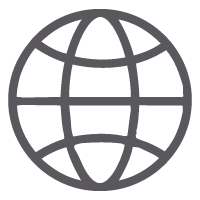 Gray Globe Icon